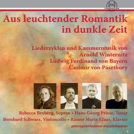 Aus leuchtender Romantik in dunkle Zeit, Vol. 2