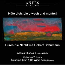 Hüte dich, bleib wach und munter! - Durch die Nacht mit Robert Schumann