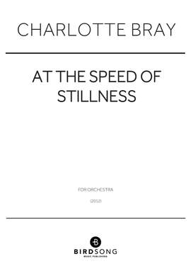 Charlotte Bray: At The Speed Of Stillness