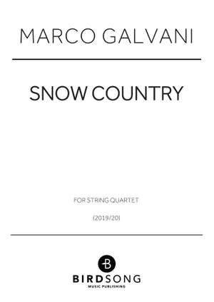 Marco Galvani: Snow Country