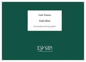 Luis Tinoco: Ends Meet