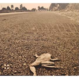 Frogsville