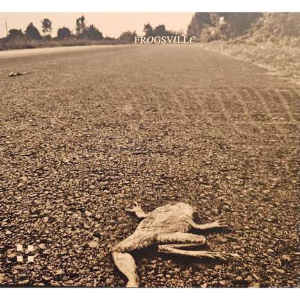 Frogsville