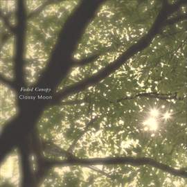 Faded Canopy