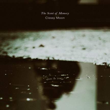 The Scent of Memory