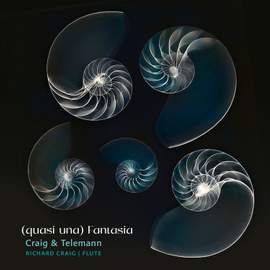 (quasi una) Fantasia: Works by R. Craig and G.F. Telemann