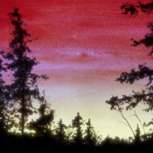 Dawn Chorus