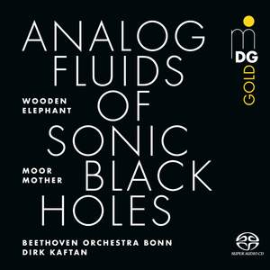 Analog Fluids of Sonic Black Holes