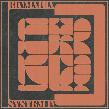 System D