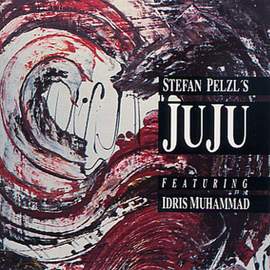 Stefan Pelzl's Juju