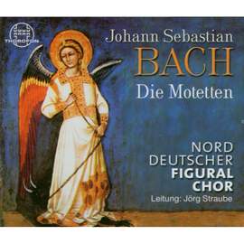 Johann Sebastian Bach: Die Motetten