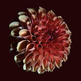 Unfolding