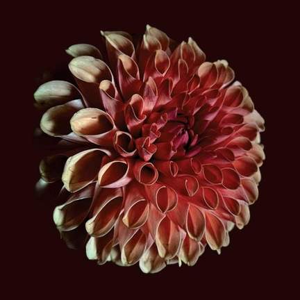 Unfolding