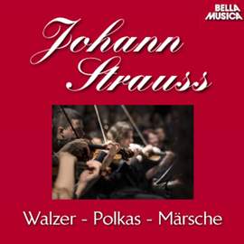Stauss Sohn: Walzer - Polkas - Märsche, Vol. 2