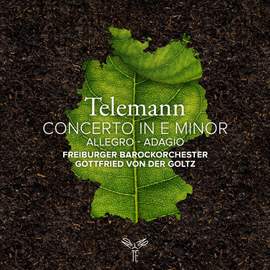 Telemann: Concerto for Flute and Violin in E Minor, TWV 52:e3: Allegro - Adagio
