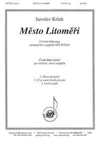 Jaroslav Krcek: Mesto Litomerice (3 Czech Fksgs)
