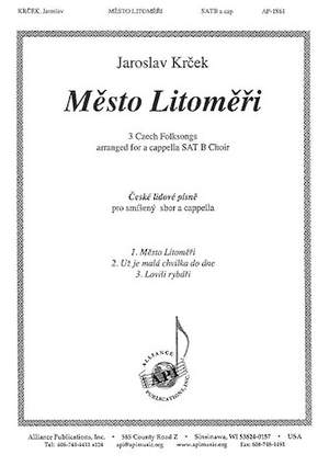 Jaroslav Krcek: Mesto Litomerice (3 Czech Fksgs)