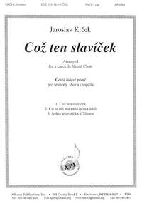 Jaroslav Krcek: Coz Ten Slavícek