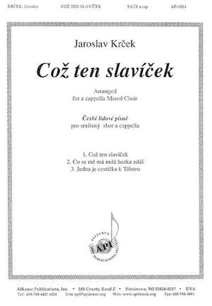 Jaroslav Krcek: Coz Ten Slavícek