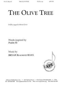 Bryan Beaumont Hays: The Olive Tree