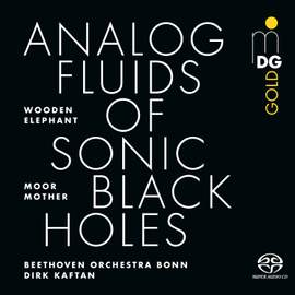 Analog Fluids of Sonic Black Holes