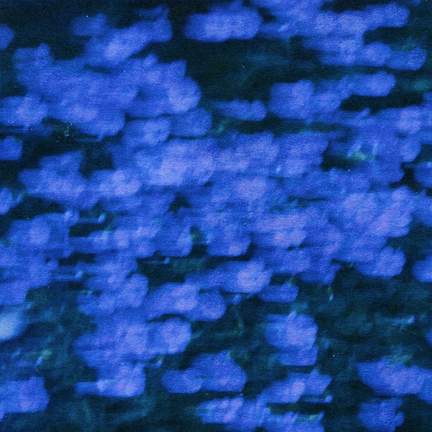 Into The Blue