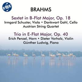 Brahms: String Sextet No. 1 in B-Flat Major, Op. 18 & Horn Trio in E-Flat Major, Op. 40