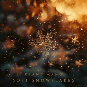 Soft Snowflakes