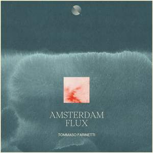 Amsterdam Flux