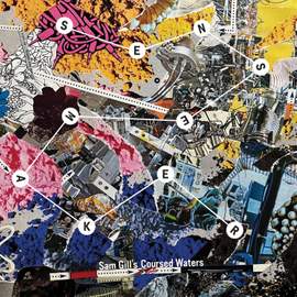Sensemaker