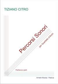 Tiziano Citro: Percorsi sonori