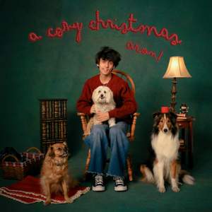 a cozy christmas