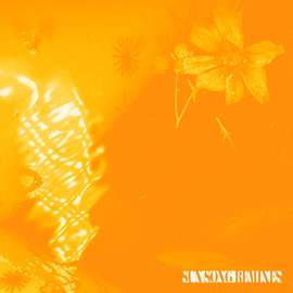 Sun Song Remixes