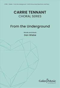 Dan Wiebe: From the Underground
