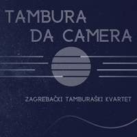Tambura da camera