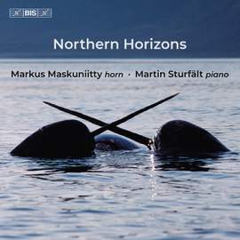 Northern Horizons