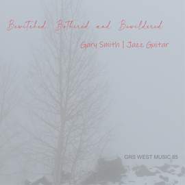 Bewitched Bothered and Bewildered