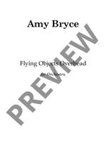 Bryce Amy: Flying Objects Overhead Product Image