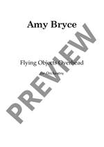 Bryce Amy: Flying Objects Overhead Product Image