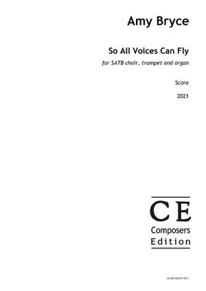 Bryce Amy: So All Voices Can Fly