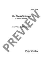 Copley Peter: The Midnight Skaters Product Image