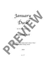 Self Susannah: January Dusk Product Image