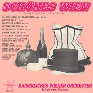 Schönes Wien - Berühmte Walzer