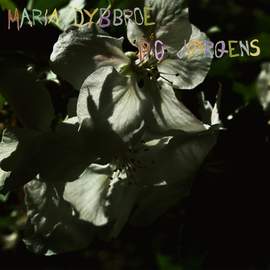 Counting The Flowers