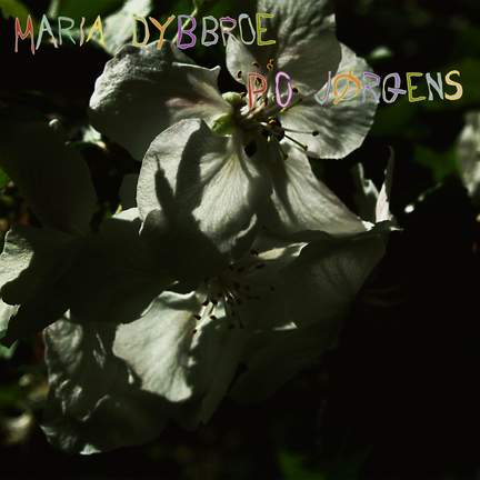 Counting The Flowers
