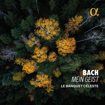 J. S. Bach: Mein Geist
