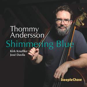 Shimmering Blue