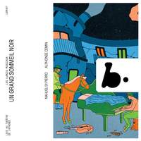 Un grand sommeil noir