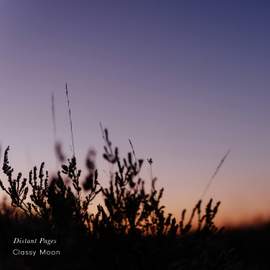 Distant Pages