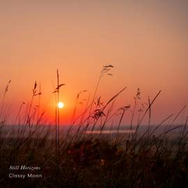 Still Horizons